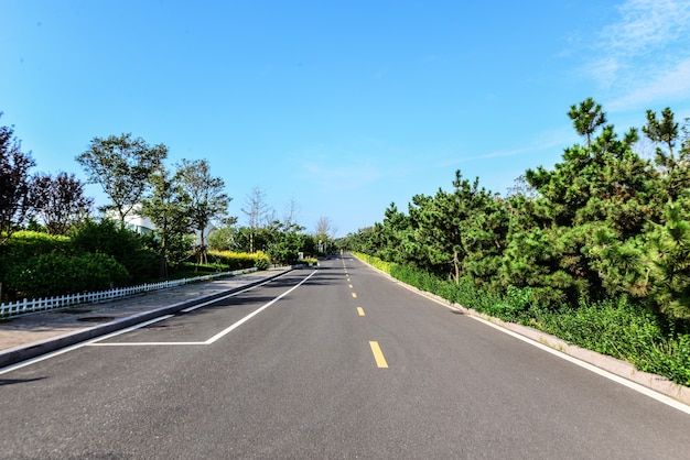 Carretera vacia con vegetación