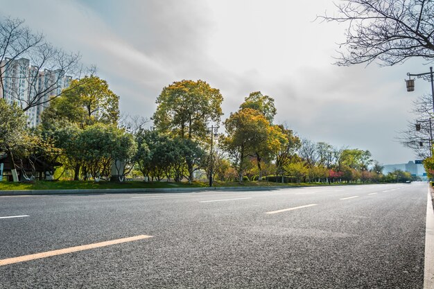 Carretera y vegetación en un día nublado 