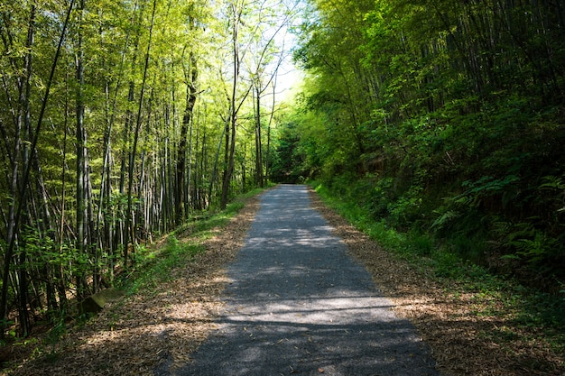 Foto gratuita la carretera