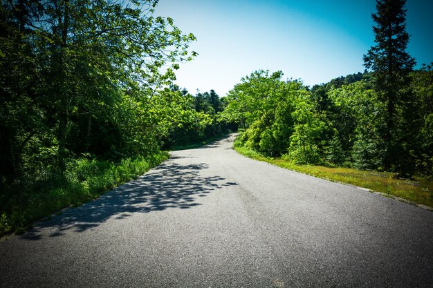 La carretera