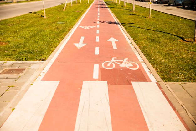 Carril bici con signo entre la hierba verde.