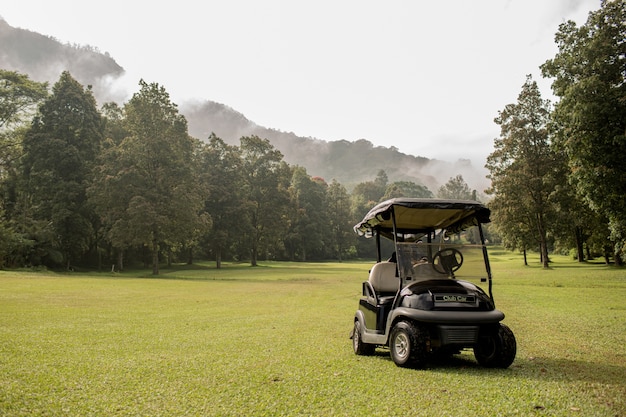 Foto gratuita carro de golf estacionado. bali. indonesia