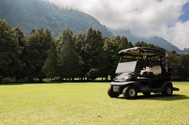 Carro de golf estacionado. Bali. Indonesia