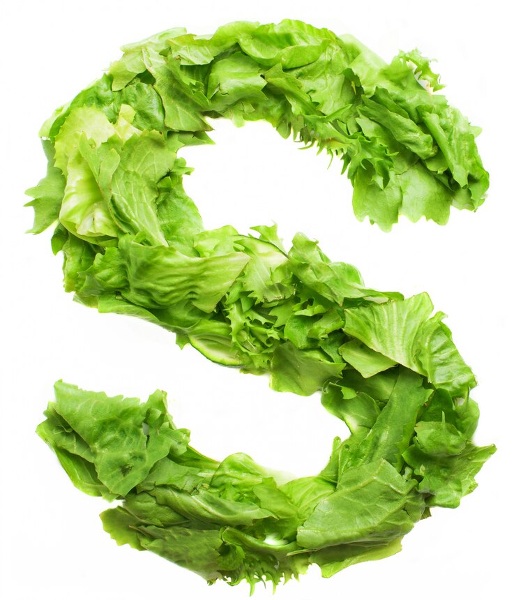 Foto gratuito la carta nutritiva es