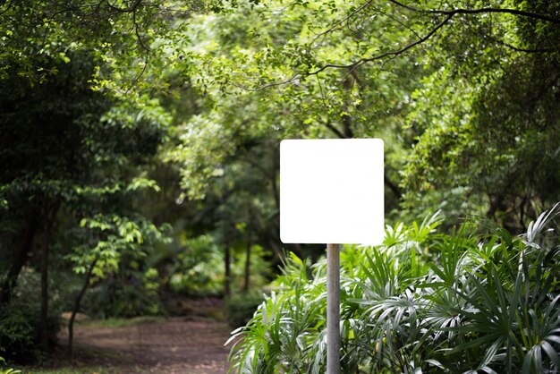 Cartelera en blanco blanca en el parque con el fondo de la naturaleza.