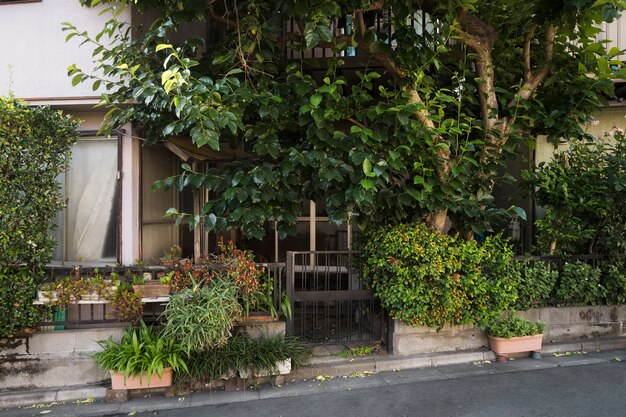 Casa abandonada cerca de un árbol alto