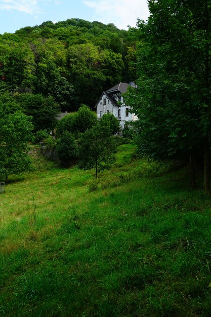 Casa blanca en el bosque lleno de árboles verdes