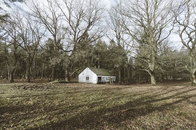 Una casa en el bosque