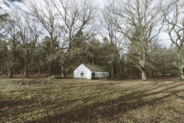 Una casa en el bosque