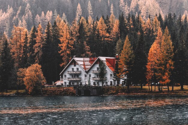 Casa cerca de cuerpo de agua y bosque