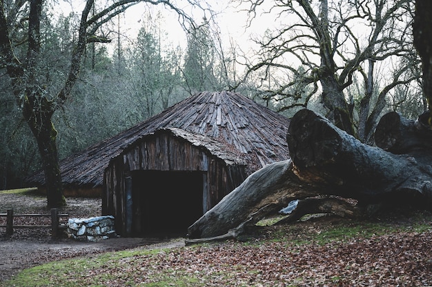 Foto gratuita casa circular ceremonial de nativos americanos de california con un gran árbol talado y al lado