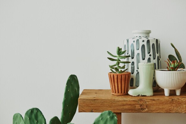 Casa estética con cactus y plantas en un estante de madera.