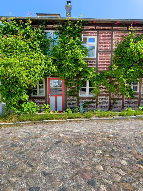 Foto gratuita una casa de ladrillo cubierta de follaje a lo largo de un camino empedrado