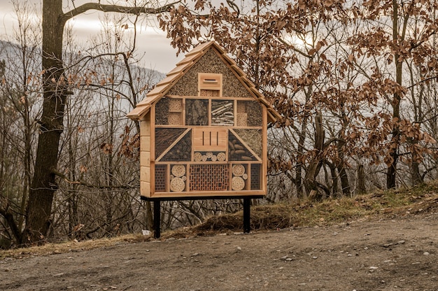 Casa de madera para abejas e insectos en un bosque cubierto de árboles bajo un cielo nublado en otoño