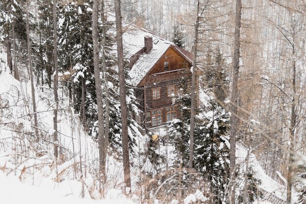 Casa de madera en bosque de invierno