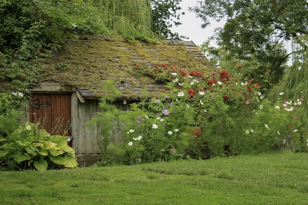 Casa de madera en un campo de hierba rodeado de plantas y flores.