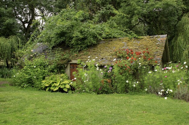 Casa de madera en un campo de hierba rodeado de plantas y flores.