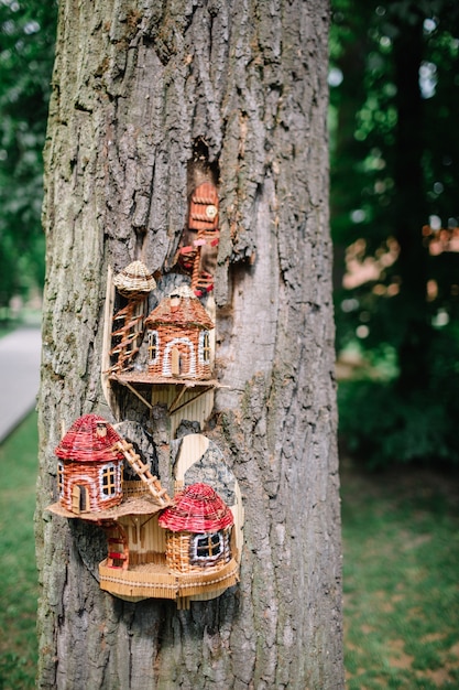 Foto gratuita casa de madera diseñada en un viejo árbol