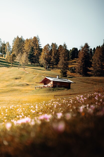 Casa de madera marrón en el campo de hierba verde cerca de árboles verdes durante el día