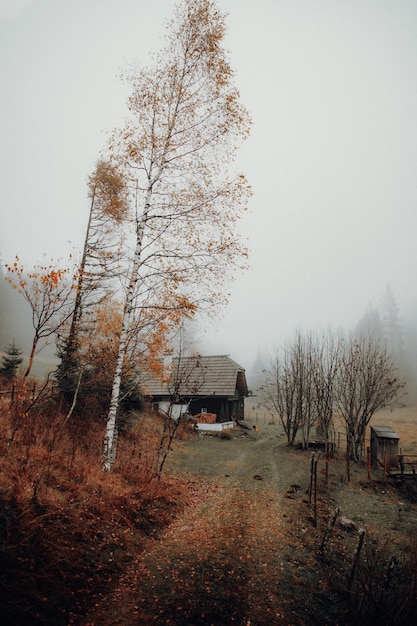 Foto gratuita casa marrón cerca de árboles