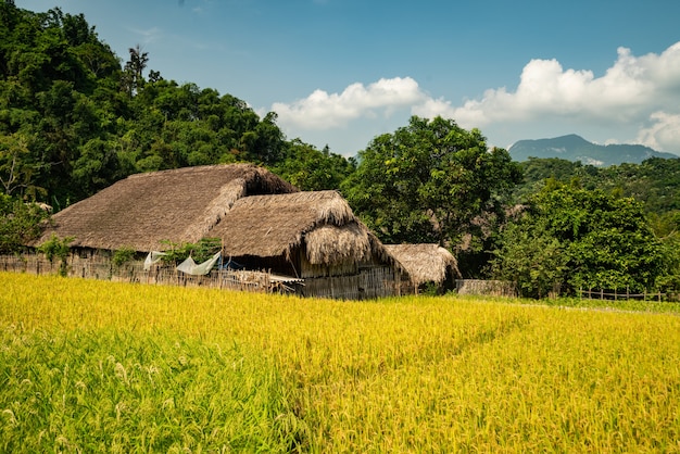 Foto gratuita casa en la naturaleza