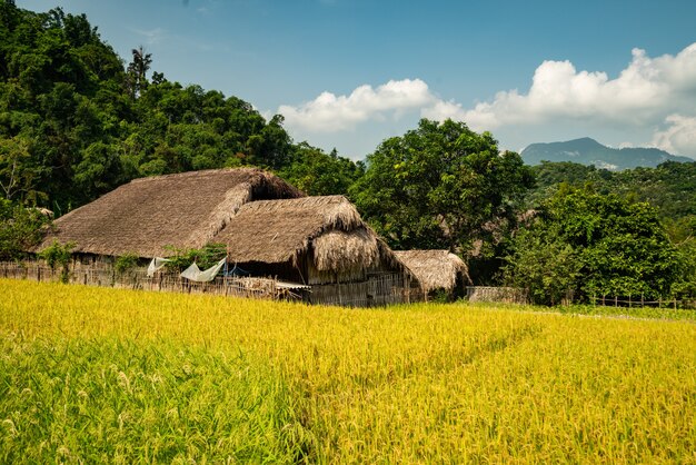 Casa en la naturaleza