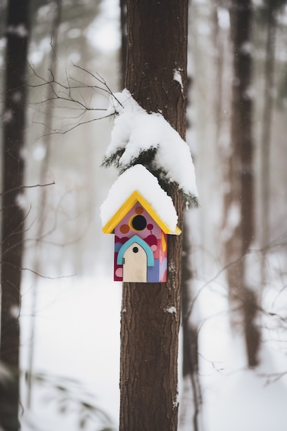 Foto gratuita casa de pájaros coloridos al aire libre