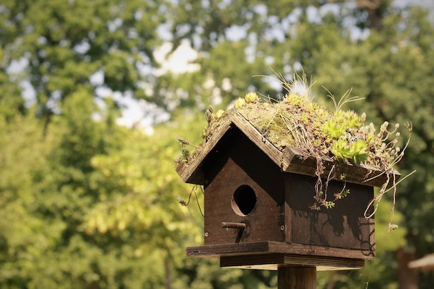 Foto gratuita casa para pájaros