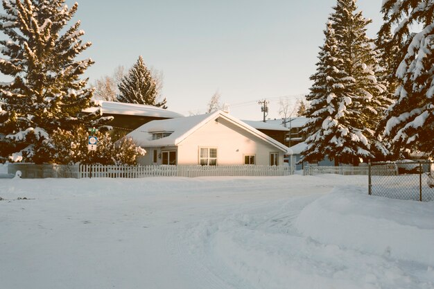 Casa con pinos nevados en invierno