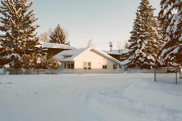 Casa con pinos nevados en invierno