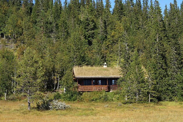 Casa rural típica noruega con un paisaje impresionante y una hermosa vegetación en Noruega