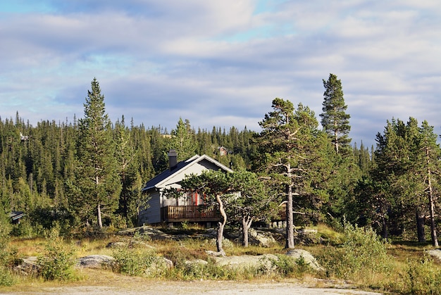 Casa rural típica noruega con un paisaje impresionante y una hermosa vegetación en Noruega