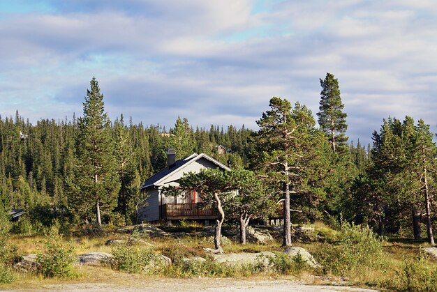 Casa rural típica noruega con un paisaje impresionante y una hermosa vegetación en Noruega