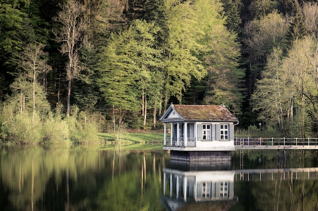 Casa sobre el agua con una orilla cubierta de hierba y árboles