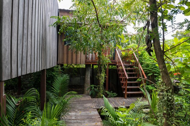 Casa tradicional tailandesa de madera en un diseño moderno con un entorno de jardín verde.