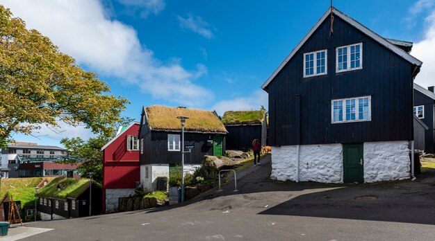 Casas isleñas nórdicas con techos de césped que son comunes en las islas