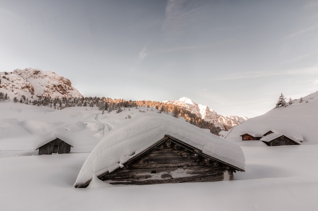 Casas de madera marrones cubiertas de nieve durante el día
