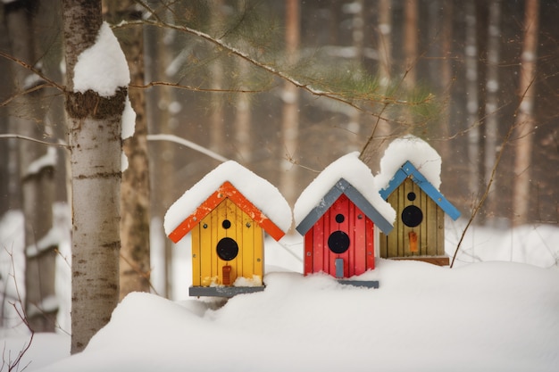 Foto gratuita casas de pájaros coloridos al aire libre