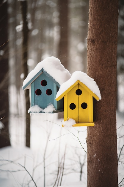 Casas de pájaros coloridos al aire libre