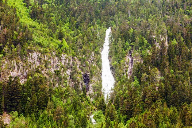 Cascada en los bosques de montaña de los Pirineos