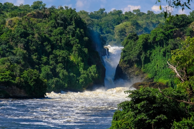 Cascada en medio de acantilados con árboles y plantas en un día soleado