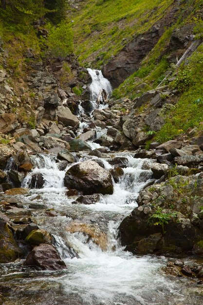 Cascada en las montañas rocosas