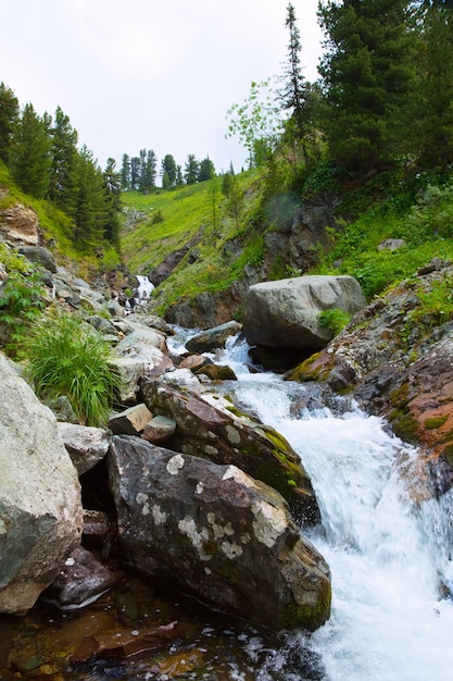 Cascada en las montañas rocosas