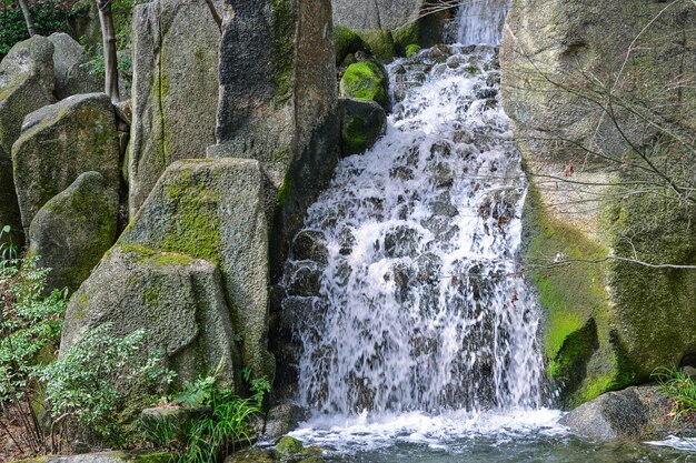 Cascada natural bonita