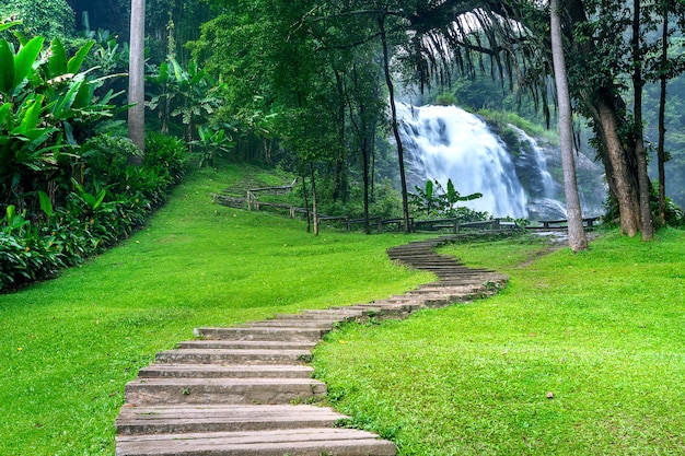 Foto gratuita cascada en la naturaleza, tailandia.