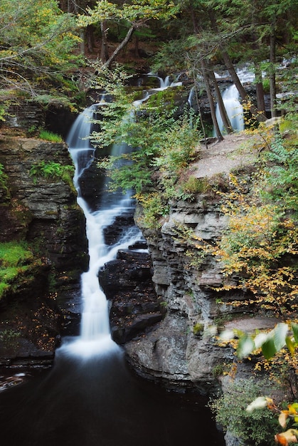 Foto gratuita cascada de otoño