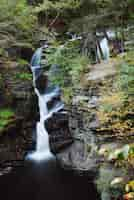 Foto gratuita cascada de otoño