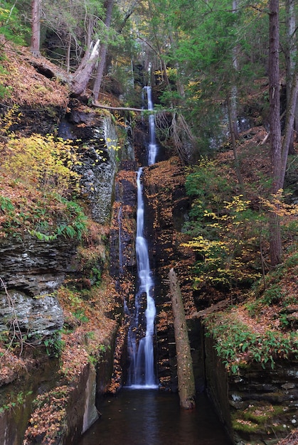 Cascada de otoño