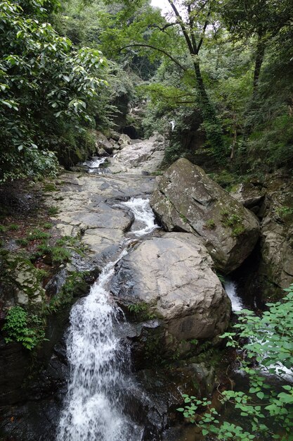 Cascada con piedras cubiertas de musgo en China