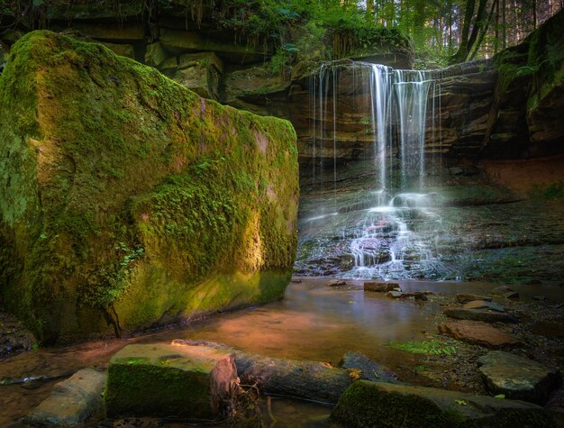 Cascada que atraviesa el bosque durante el día.